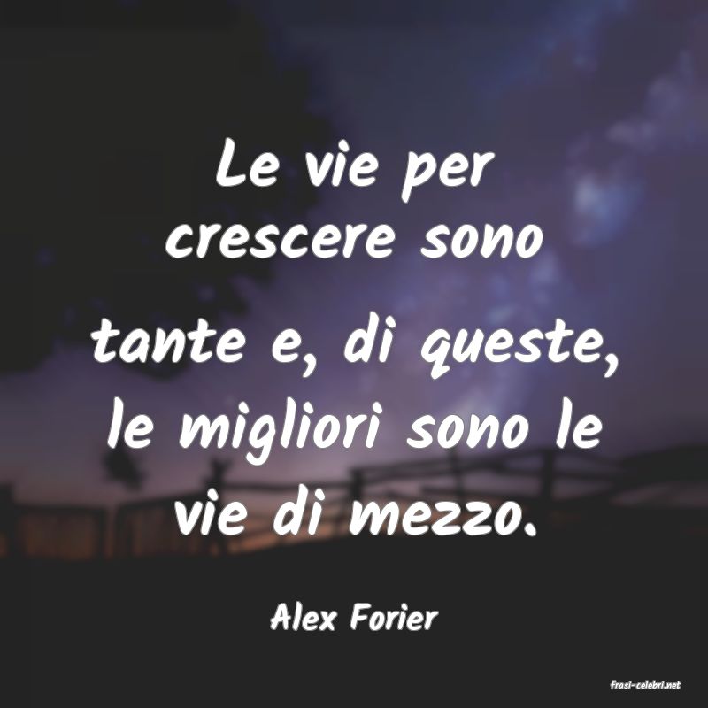 frasi di  Alex Forier

