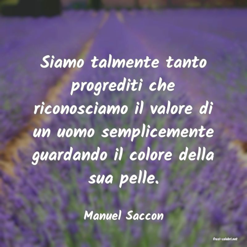 frasi di  Manuel Saccon
