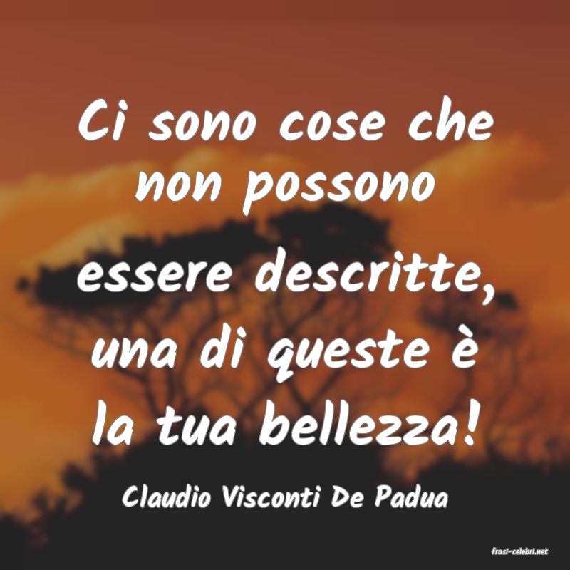 frasi di  Claudio Visconti De Padua
