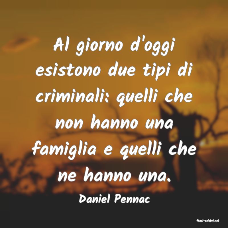 frasi di  Daniel Pennac
