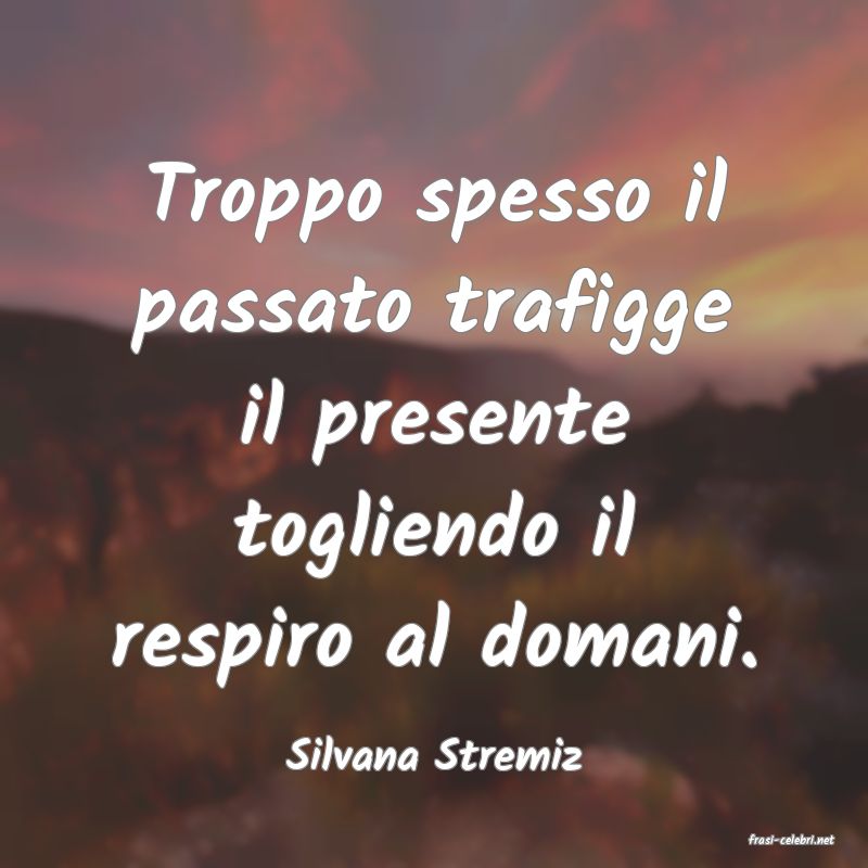 frasi di  Silvana Stremiz
