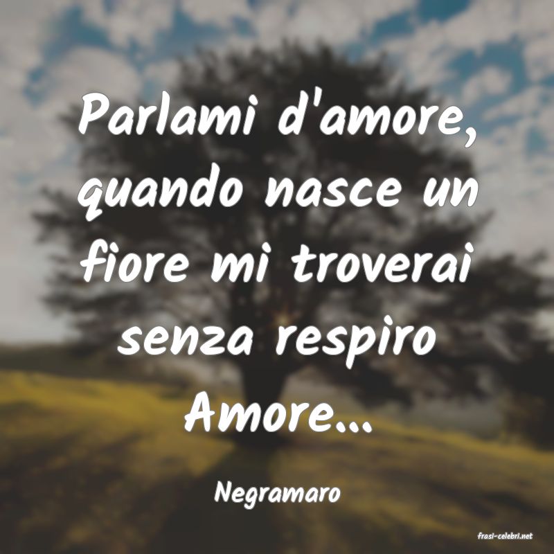 frasi di Negramaro