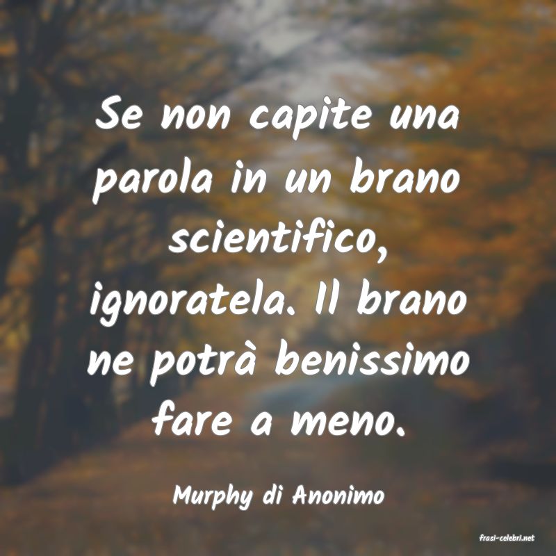 frasi di Murphy di Anonimo