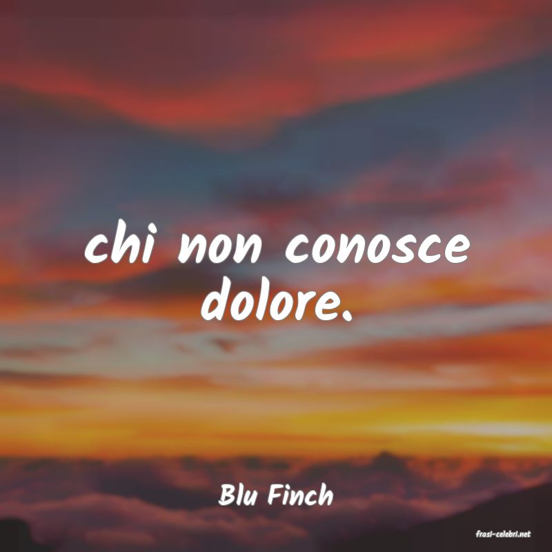 frasi di Blu Finch