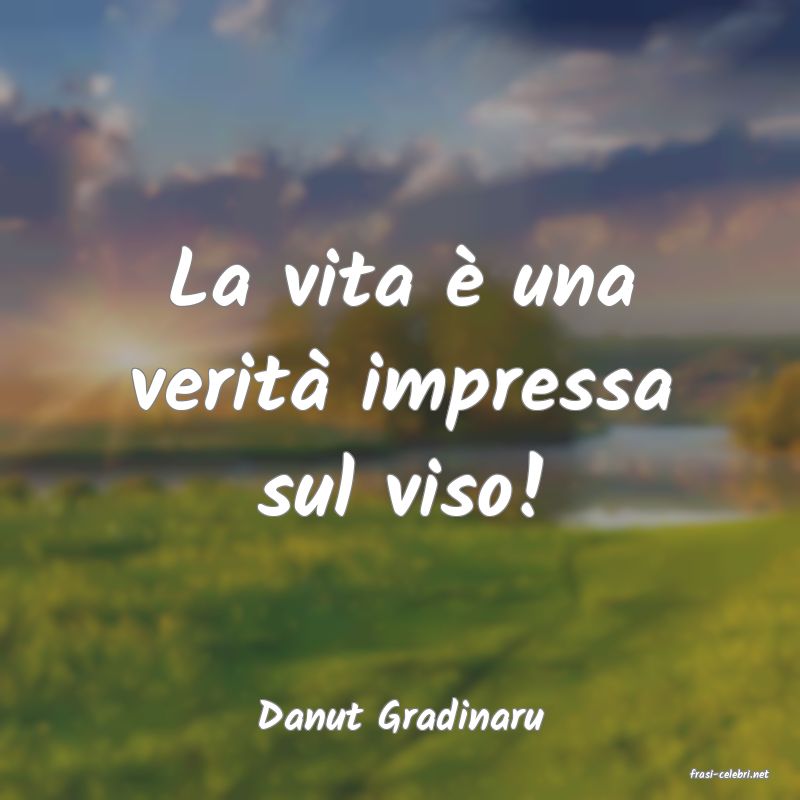 frasi di Danut Gradinaru