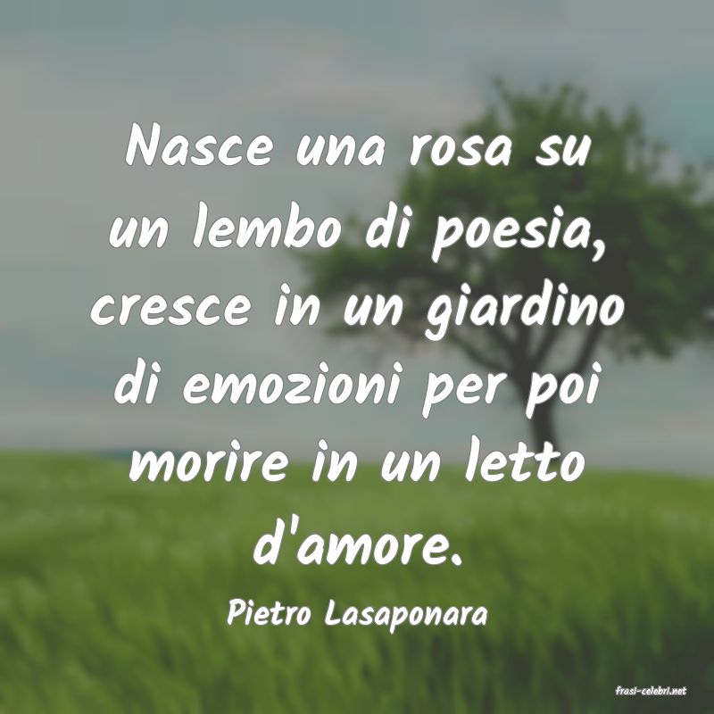 frasi di  Pietro Lasaponara
