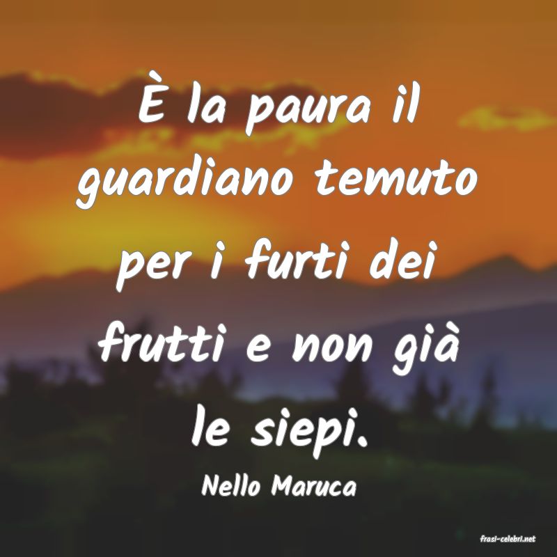 frasi di  Nello Maruca
