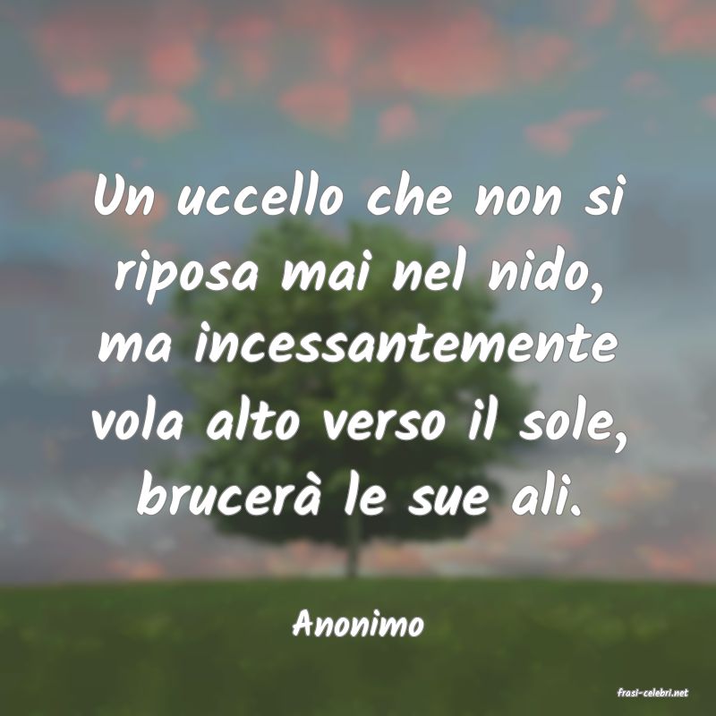 frasi di  Anonimo
