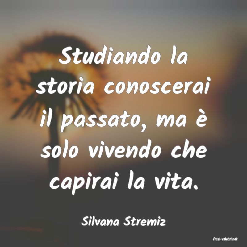 frasi di Silvana Stremiz