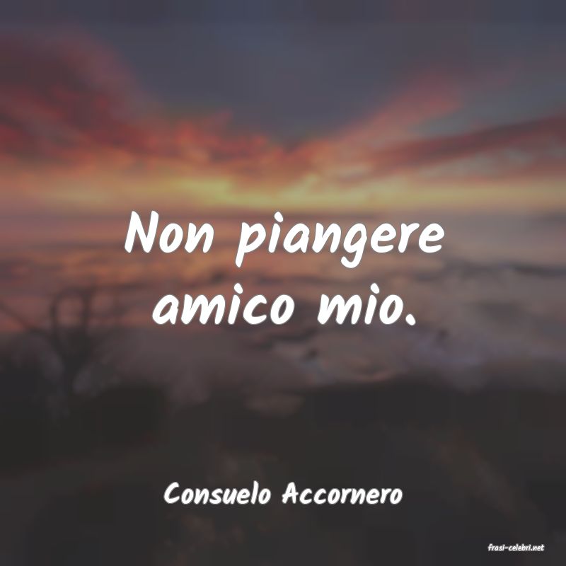 frasi di  Consuelo Accornero
