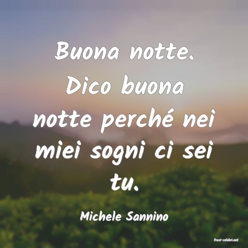 frasi di  Michele Sannino
