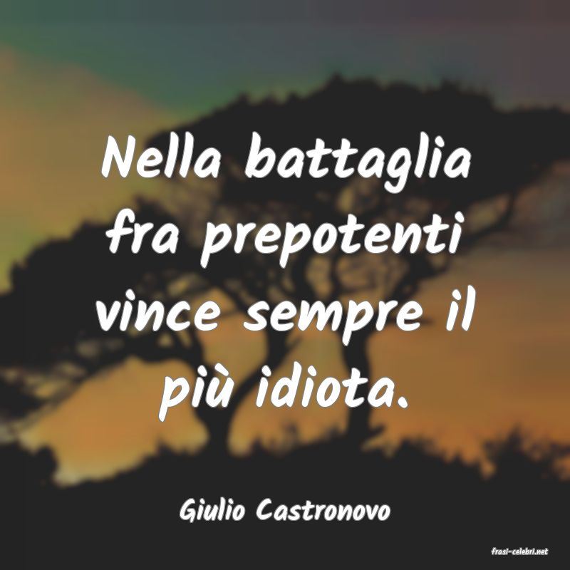 frasi di Giulio Castronovo