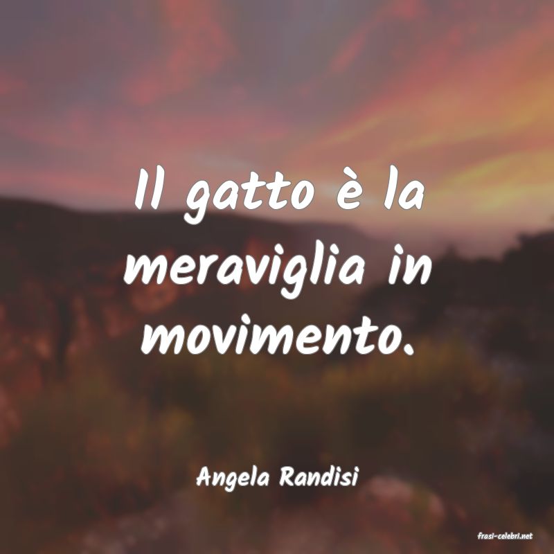 frasi di  Angela Randisi
