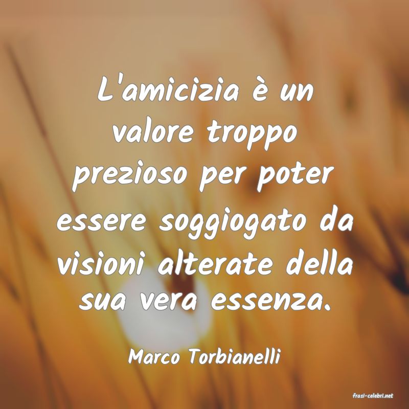 frasi di  Marco Torbianelli
