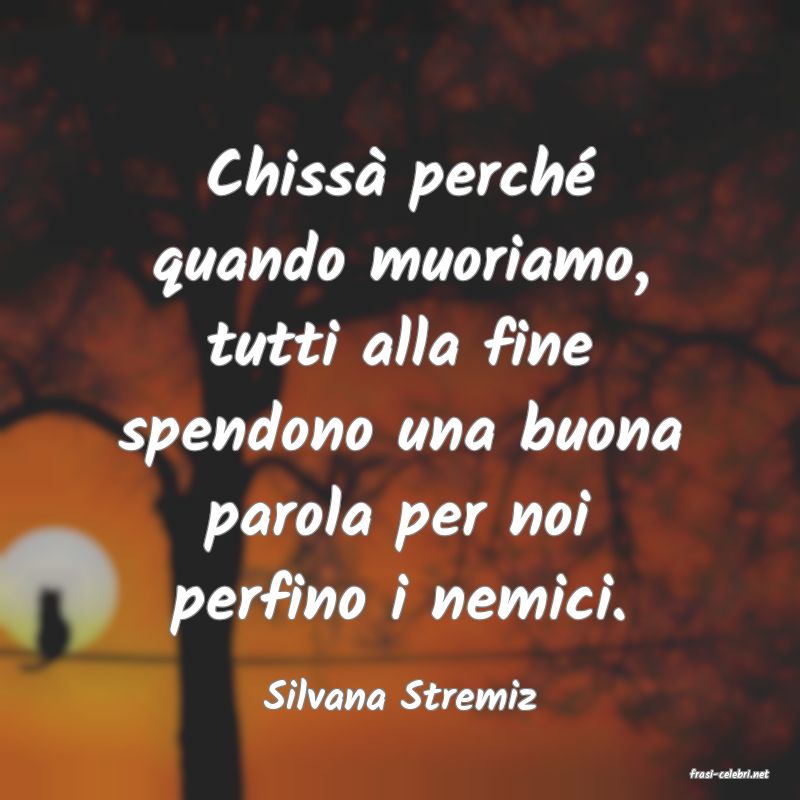 frasi di  Silvana Stremiz
