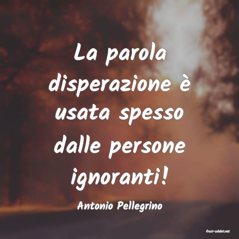 frasi di  Antonio Pellegrino
