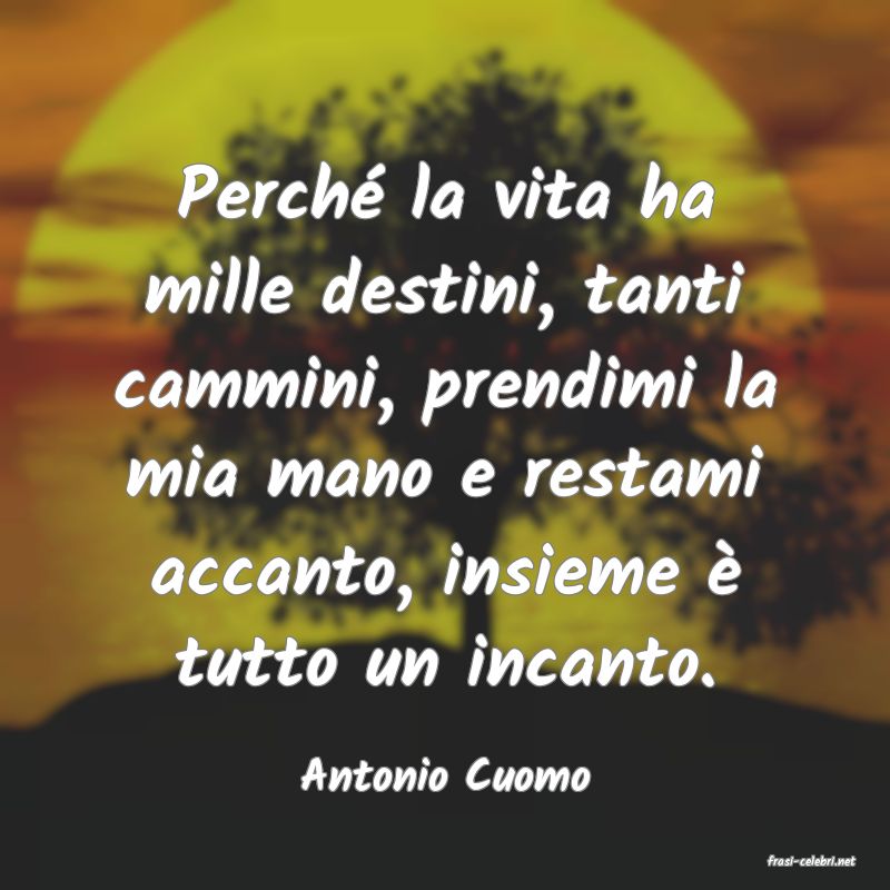 frasi di  Antonio Cuomo
