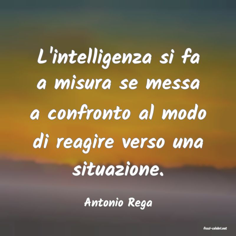 frasi di  Antonio Rega
