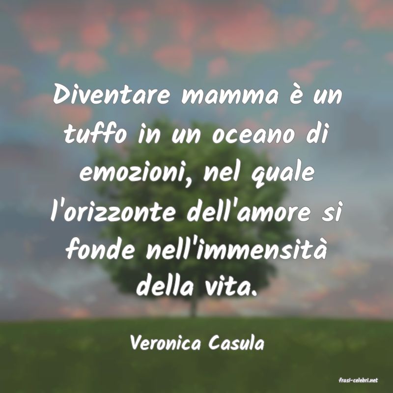 frasi di  Veronica Casula
