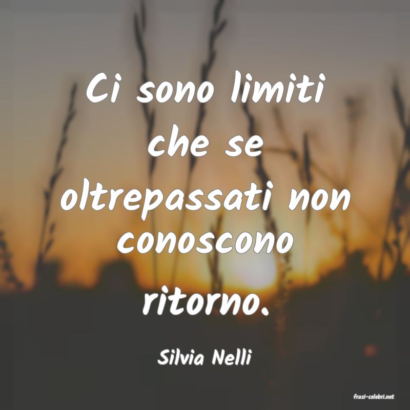 frasi di  Silvia Nelli
