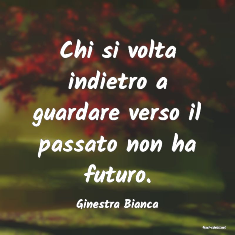 frasi di  Ginestra Bianca
