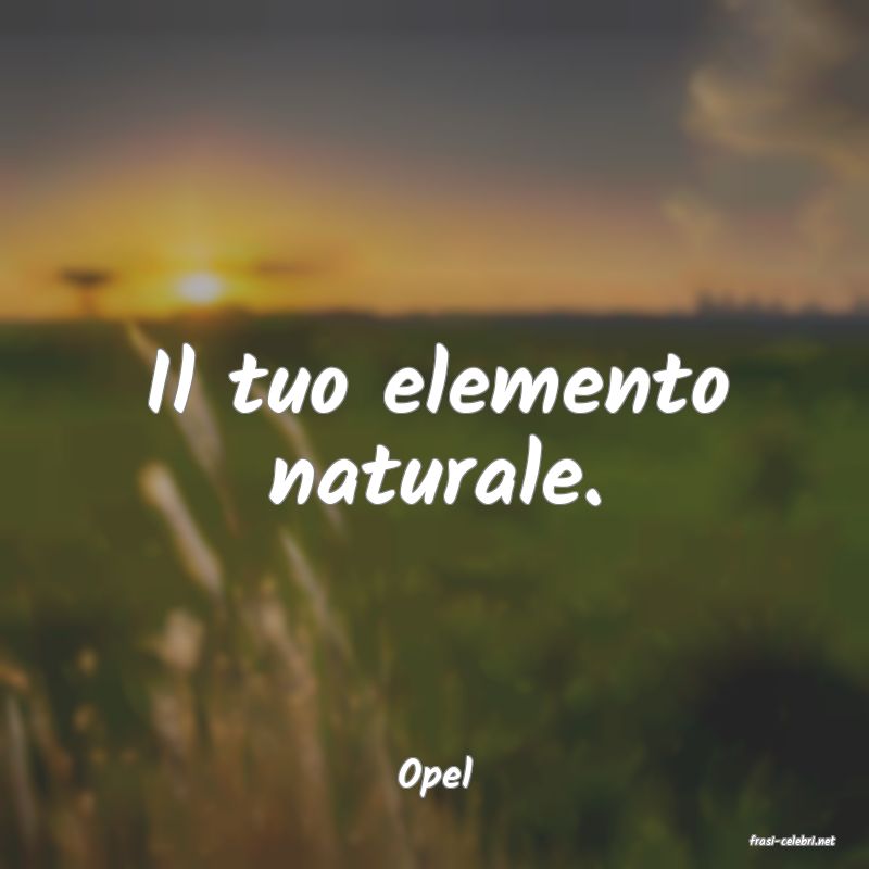 frasi di Opel