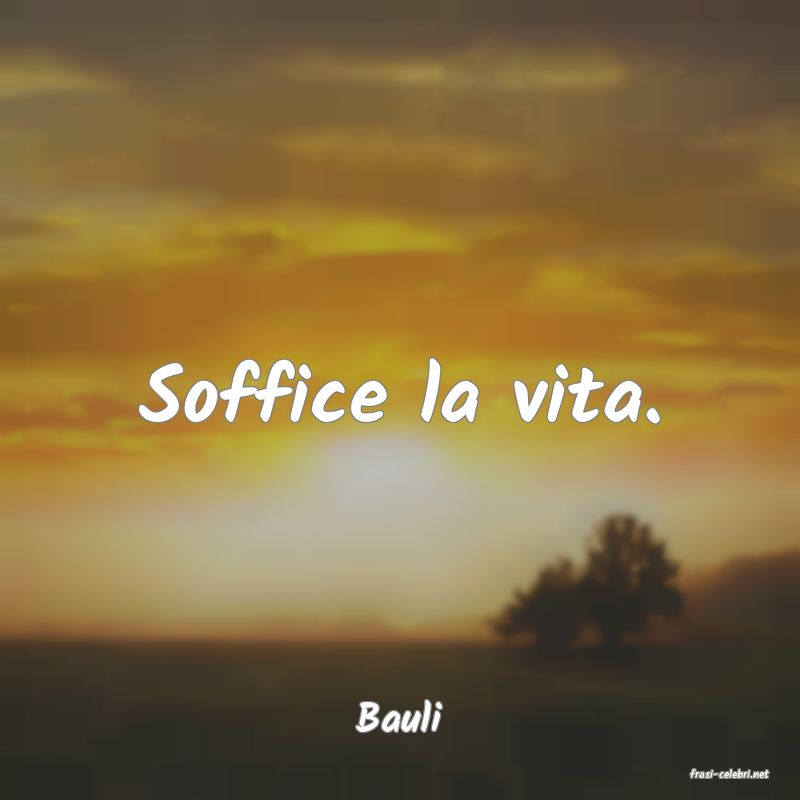 frasi di Bauli