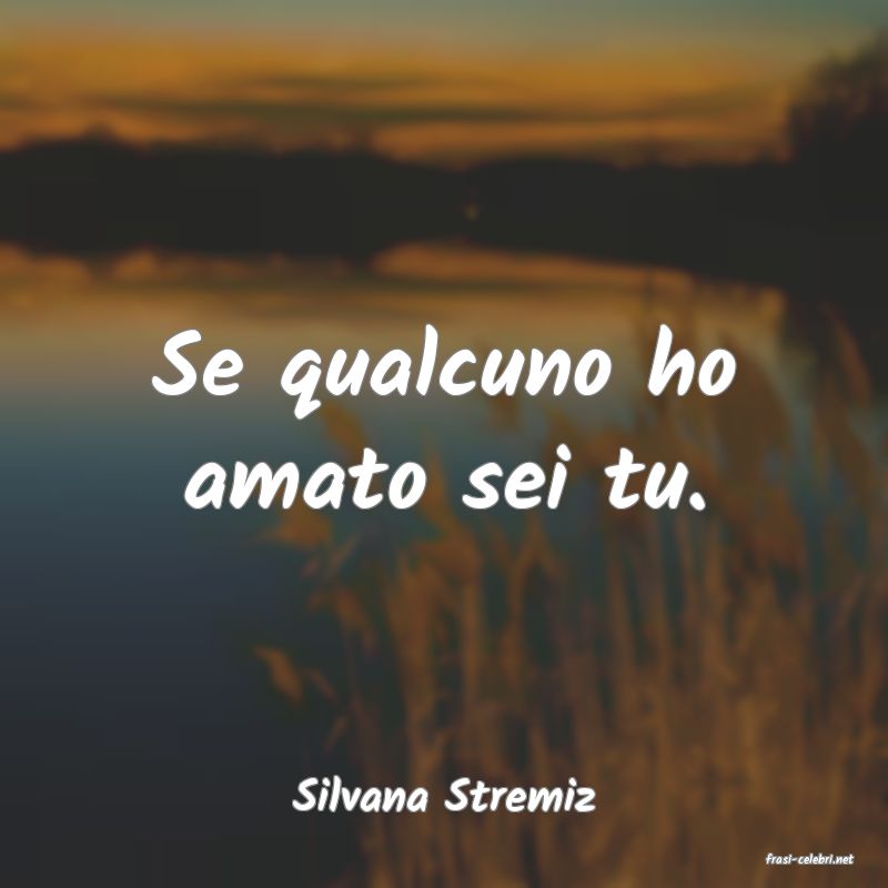frasi di Silvana Stremiz