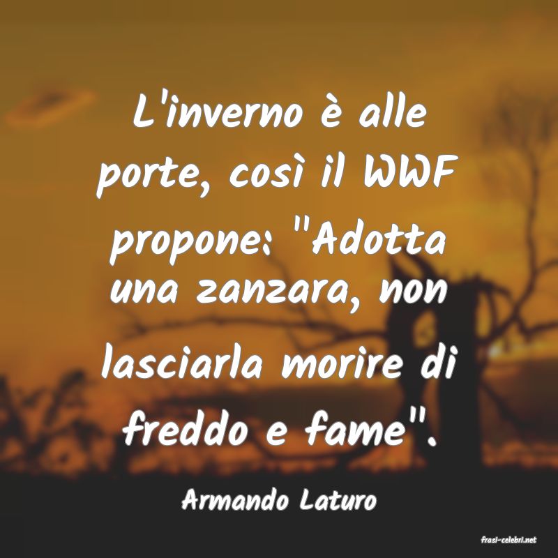 frasi di Armando Laturo