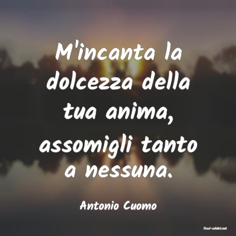 frasi di  Antonio Cuomo
