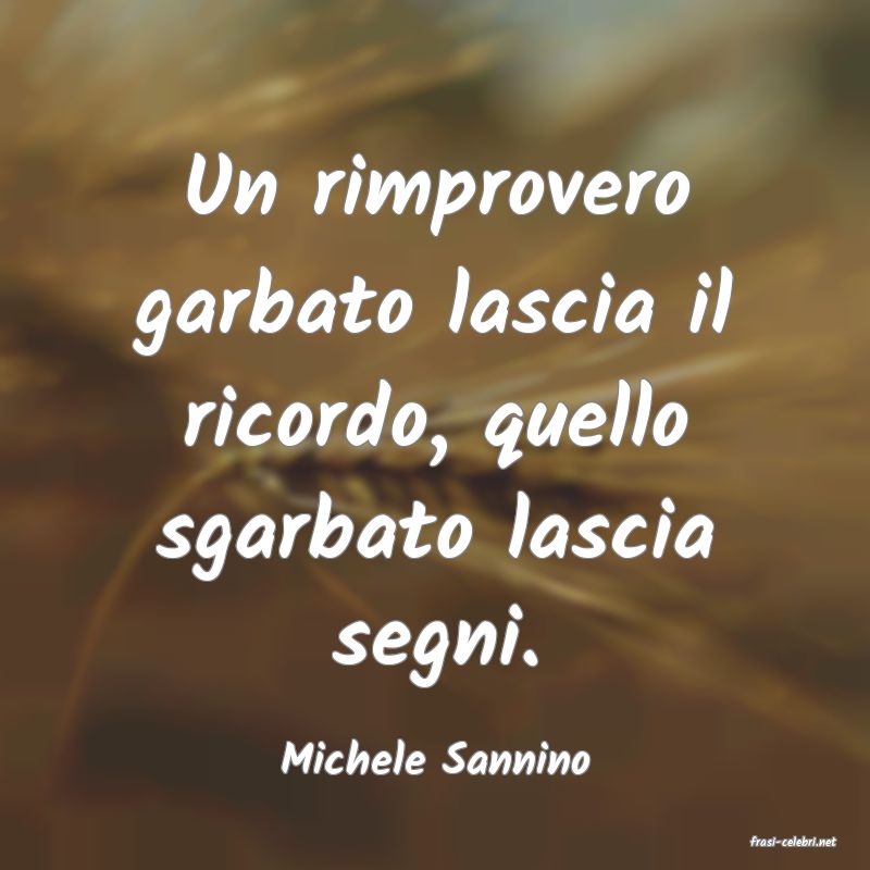 frasi di  Michele Sannino
