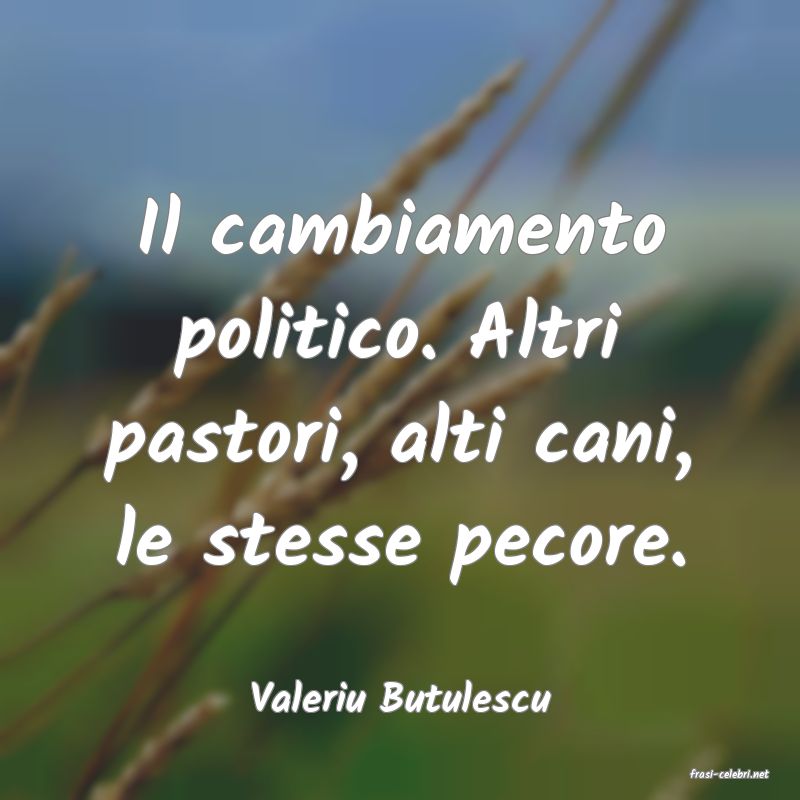 frasi di  Valeriu Butulescu
