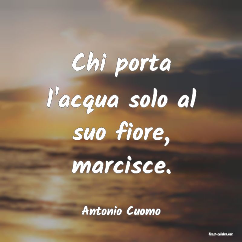 frasi di  Antonio Cuomo
