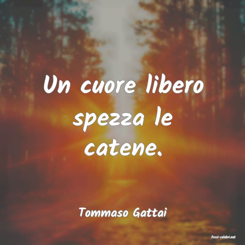 frasi di  Tommaso Gattai
