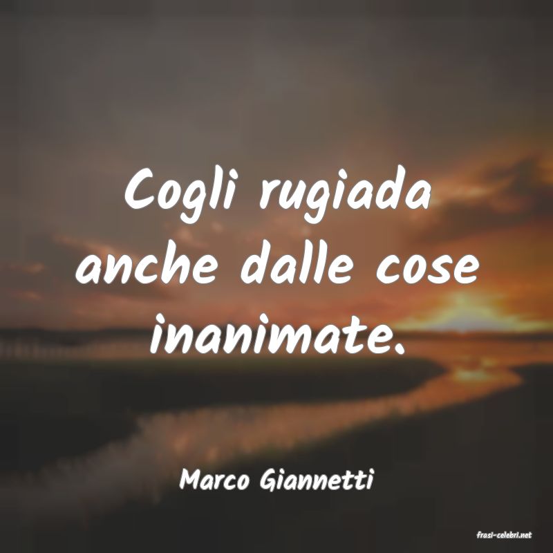 frasi di  Marco Giannetti
