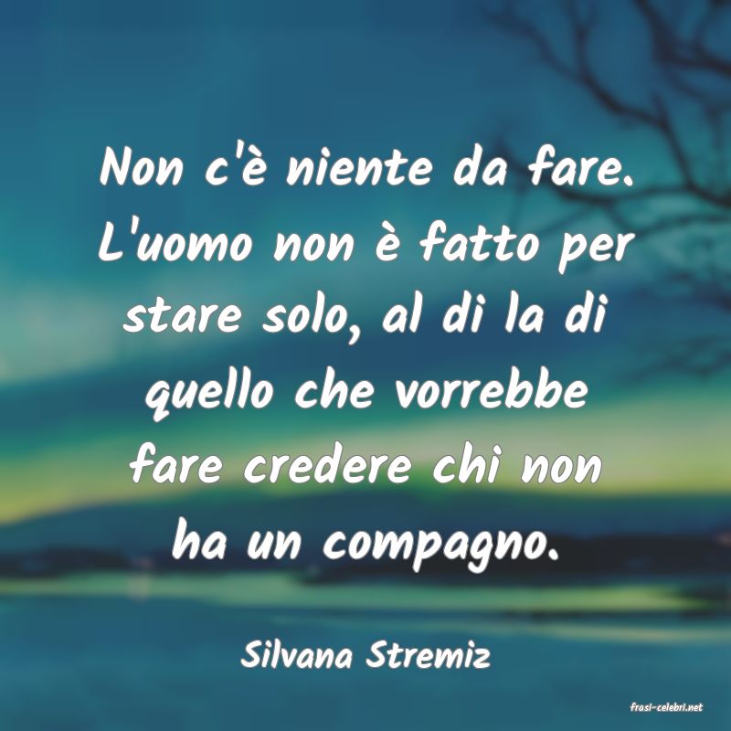 frasi di Silvana Stremiz