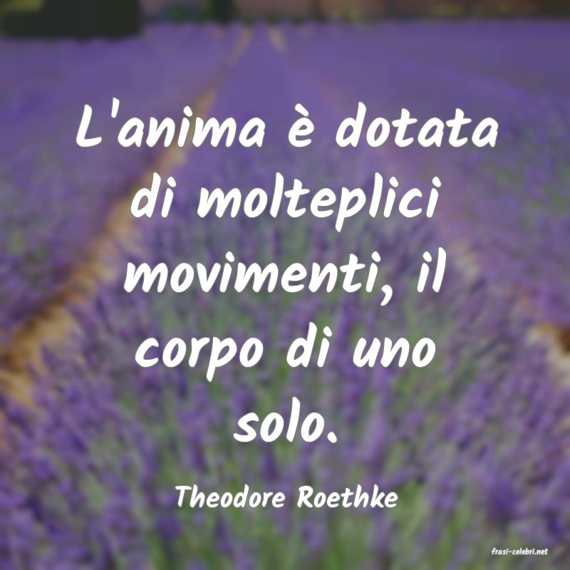 frasi di  Theodore Roethke
