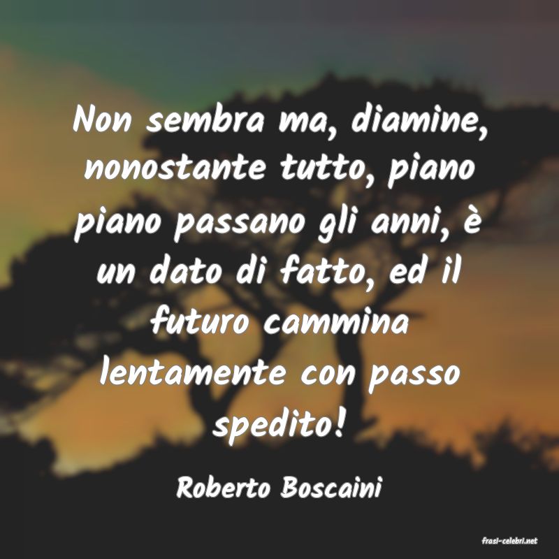 frasi di  Roberto Boscaini
