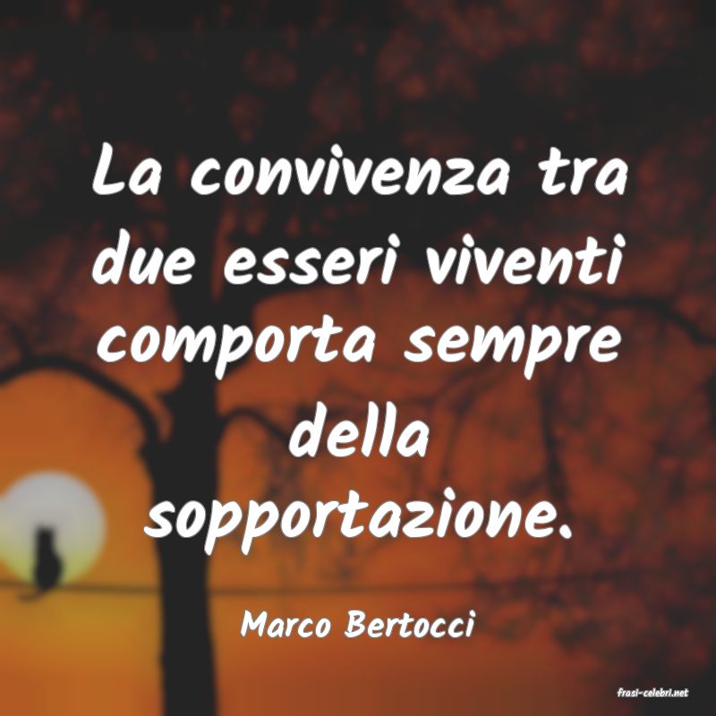 frasi di  Marco Bertocci
