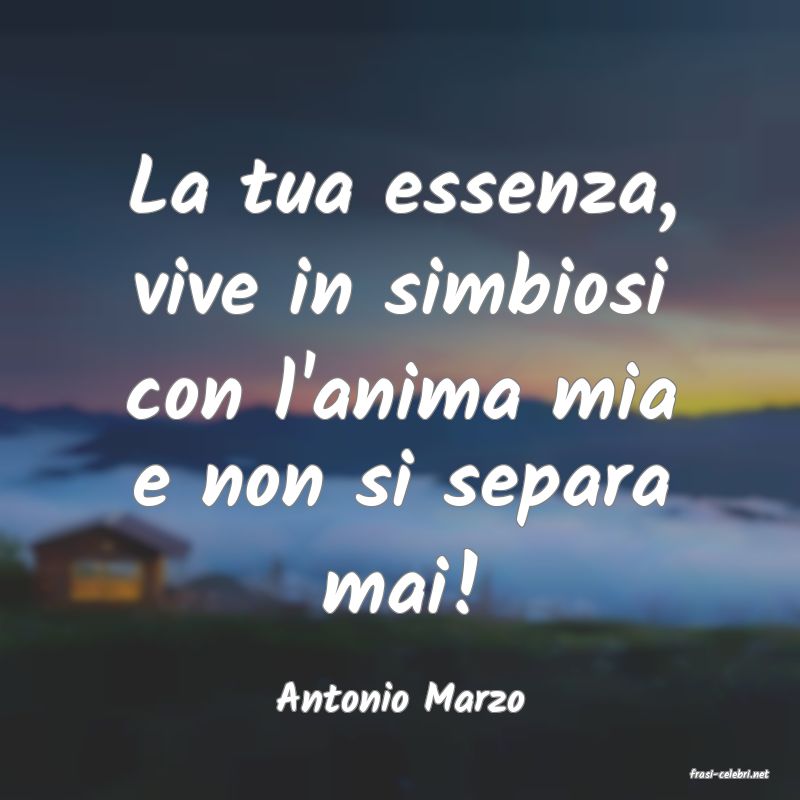 frasi di  Antonio Marzo
