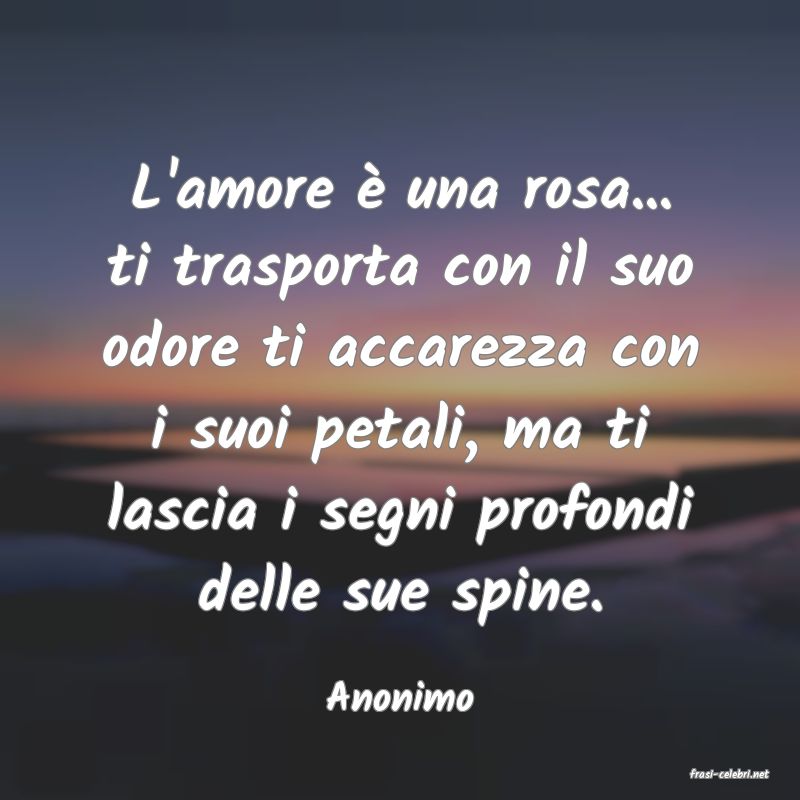 frasi di  Anonimo
