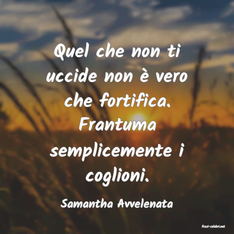 frasi di  Samantha Avvelenata
