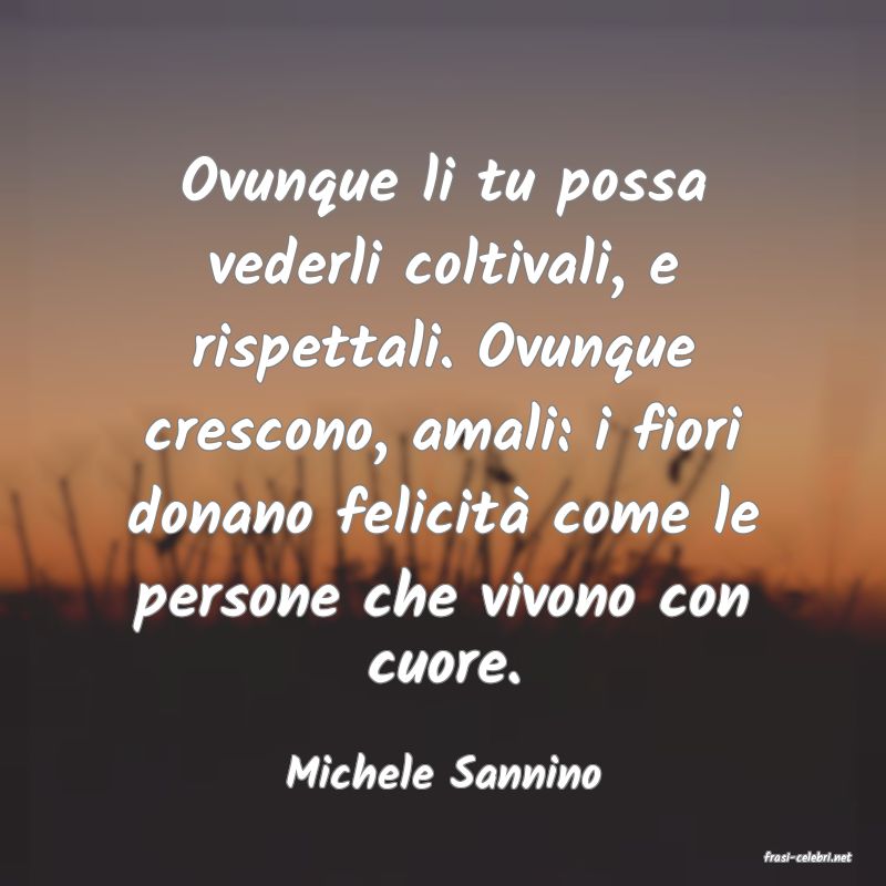 frasi di  Michele Sannino
