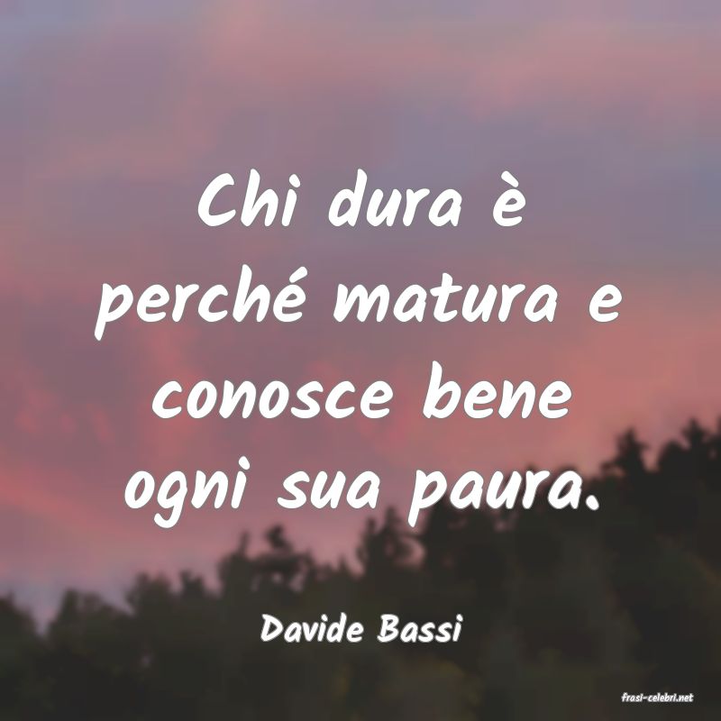 frasi di  Davide Bassi
