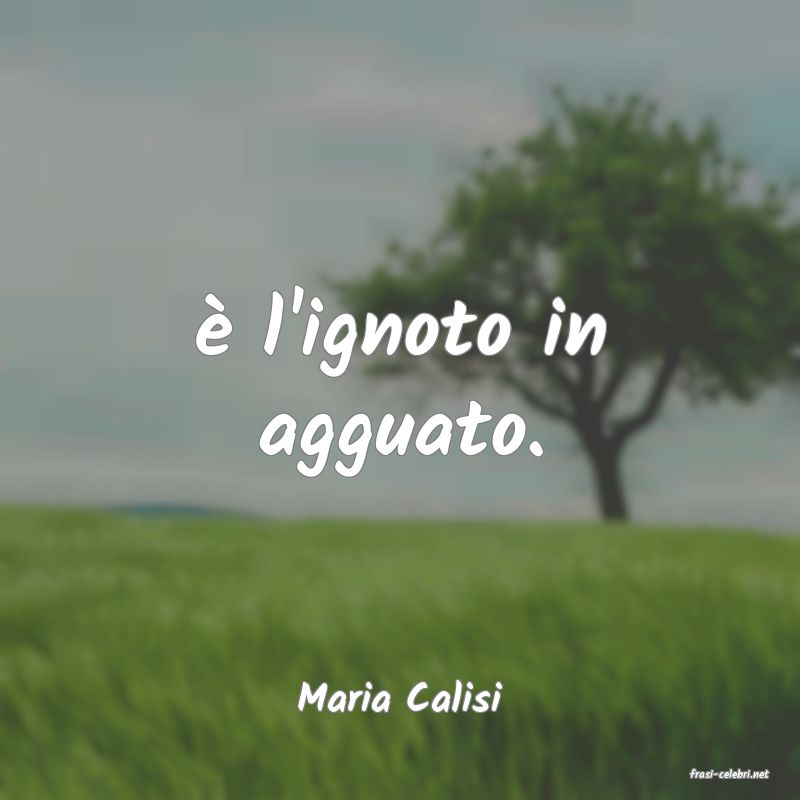 frasi di  Maria Calisi
