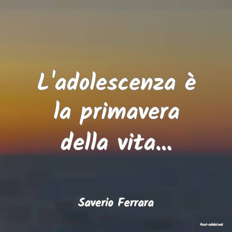 frasi di  Saverio Ferrara
