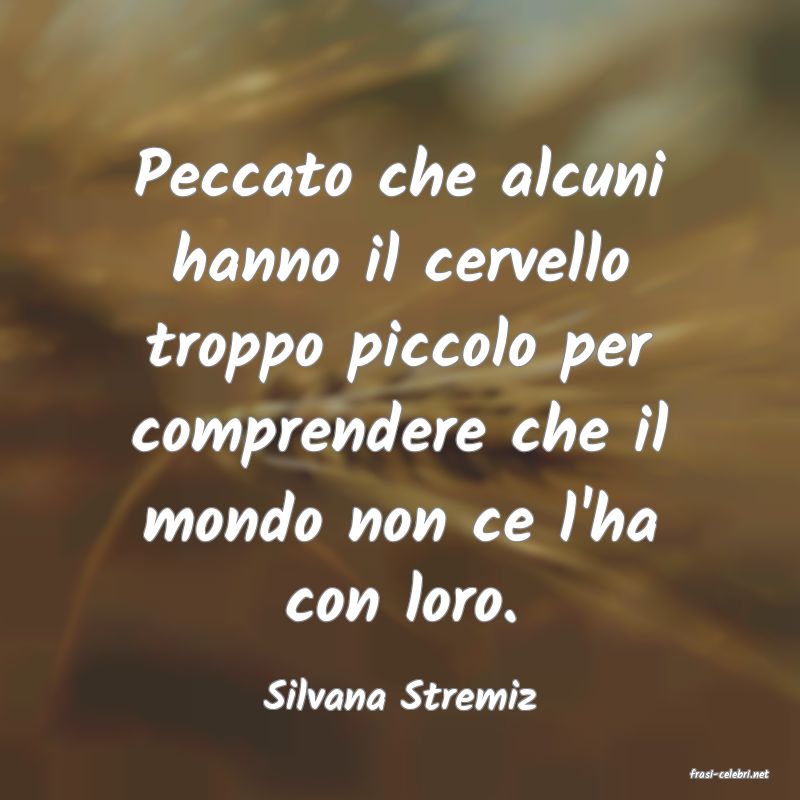 frasi di  Silvana Stremiz
