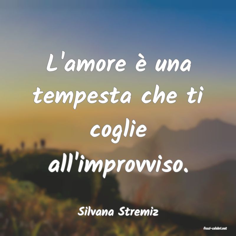 frasi di Silvana Stremiz