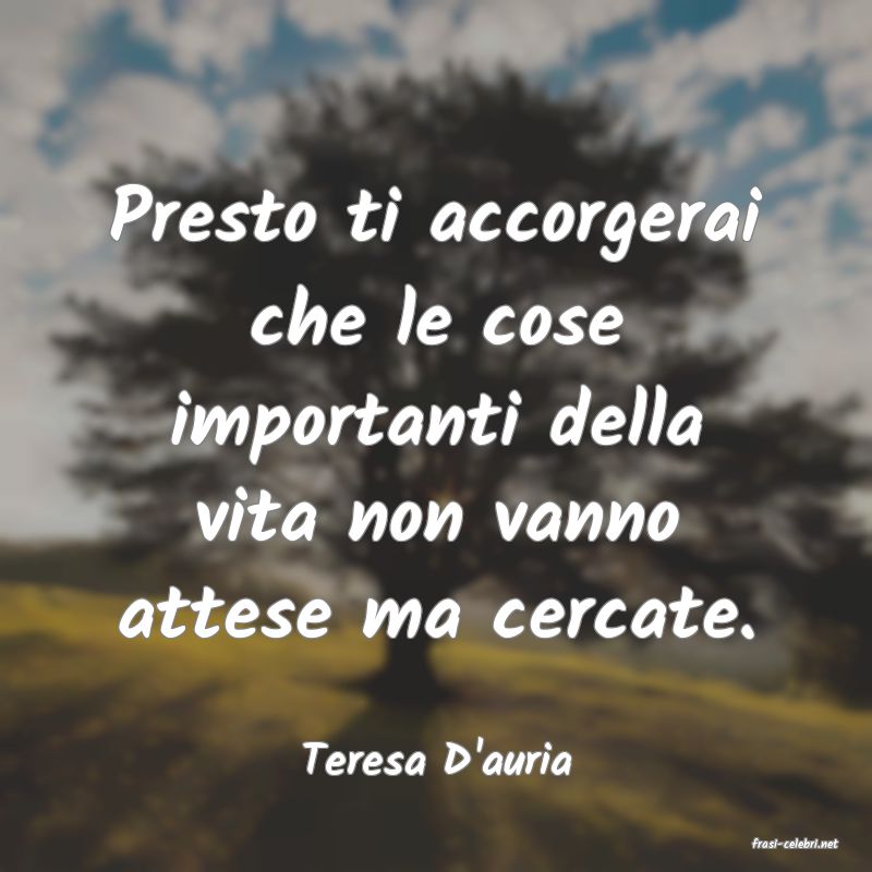 frasi di  Teresa D'auria
