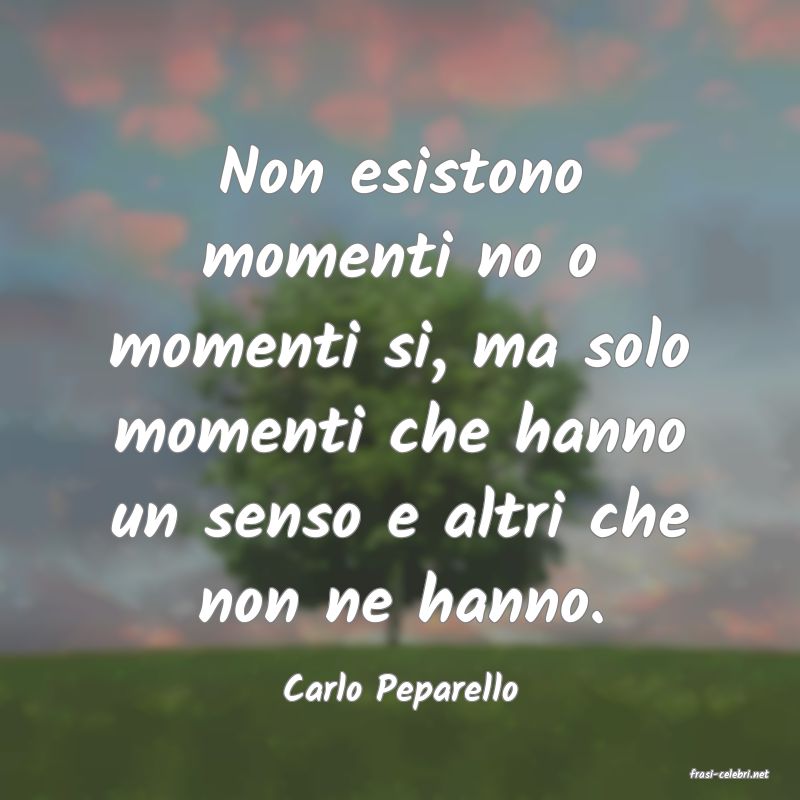 frasi di  Carlo Peparello
